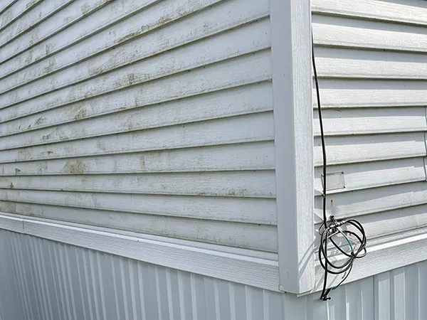  Vinyl Siding Potterville MI